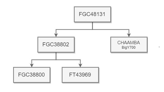 FGC48131